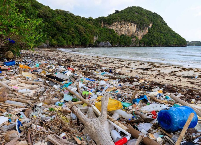 Discarded plastic washed up on the beach. \ Photo: Ocean Cycle