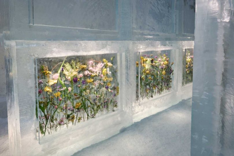 ice blocks filled with flowers making up walls of an ice suite at the Icehotel