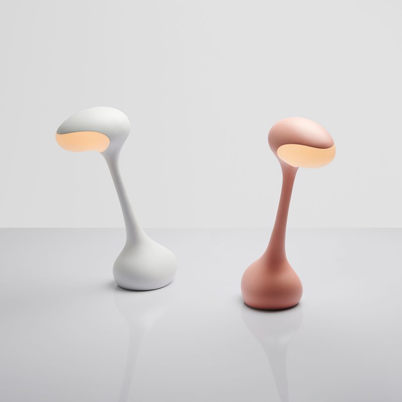 two task lamps in white space