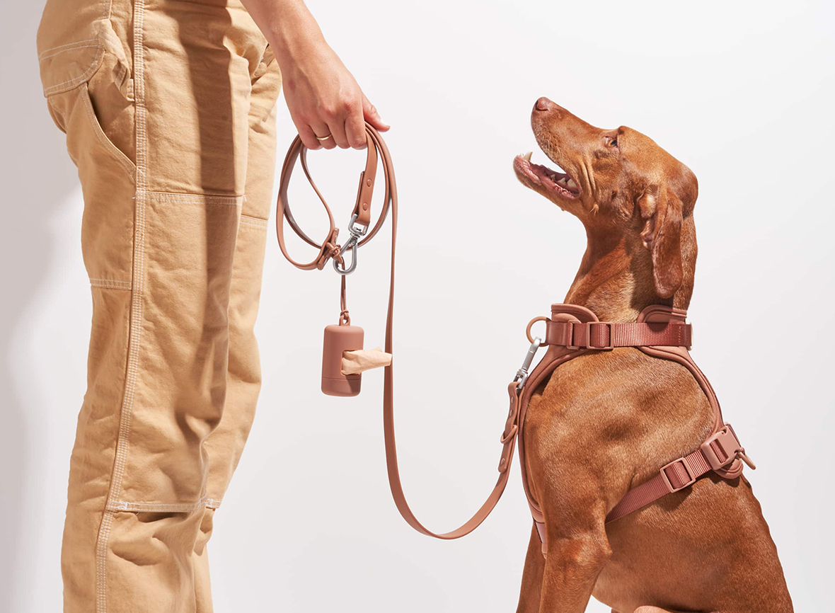 Spree™ Pet Carrier, Your Pet's Perfect Travel Companion