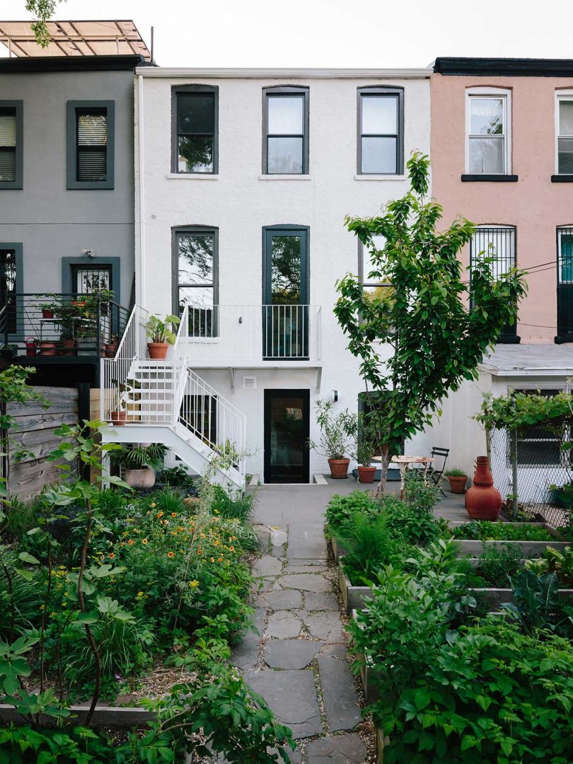 exterior view of white painted townhouse in brooklyn with planter gardens filled with greenery