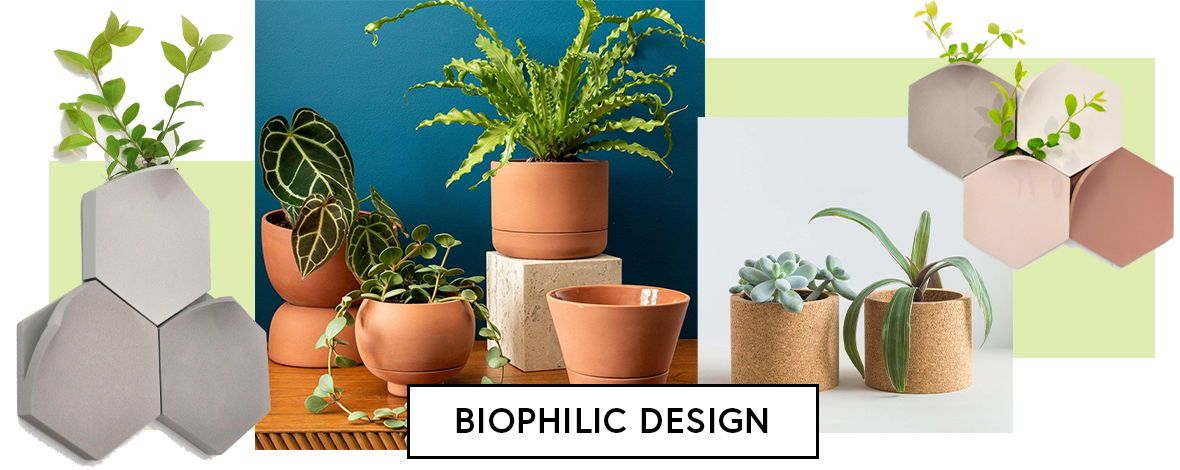 biophilic design trends