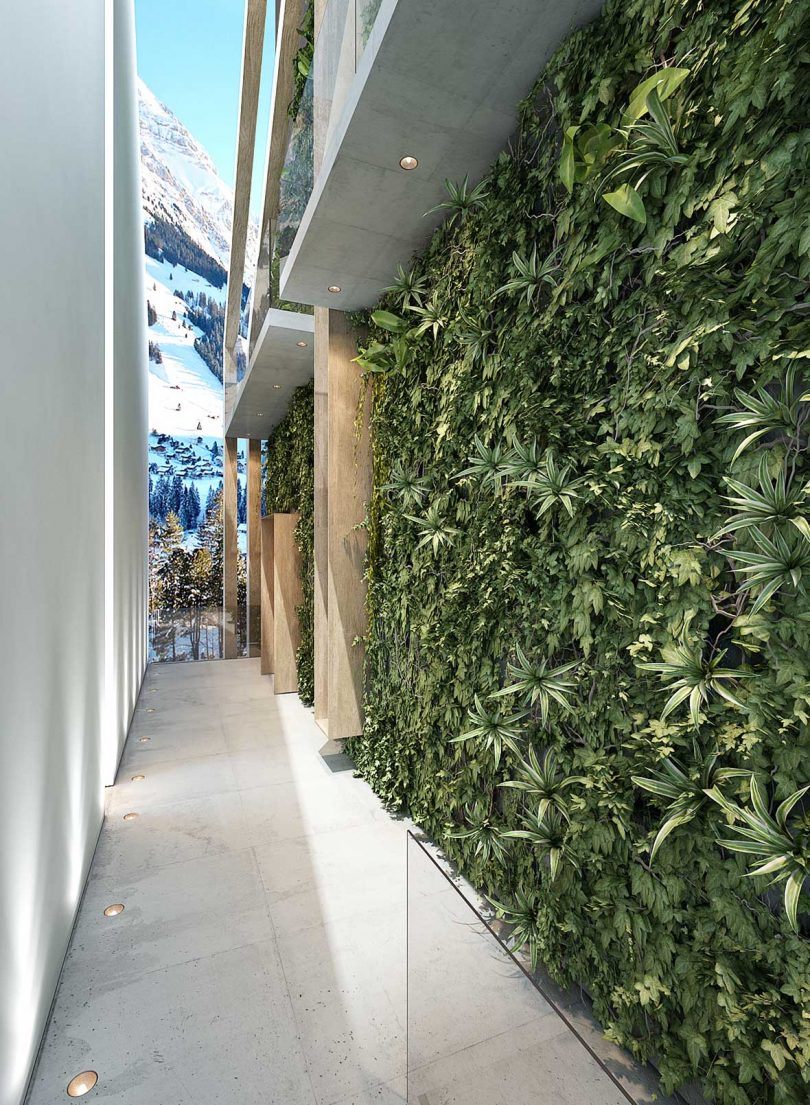 hallway corridor with green plant wall and glass skylights