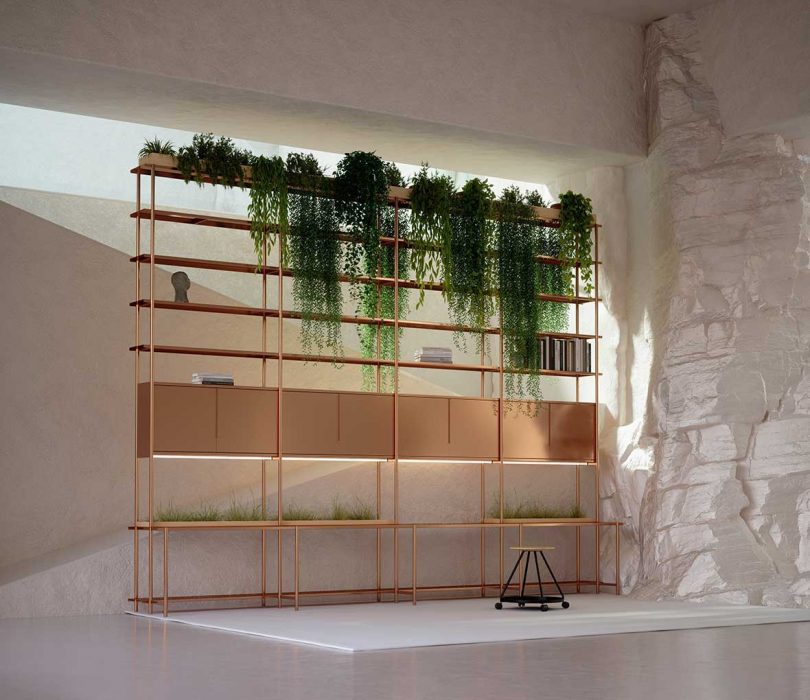 plant bookshelf