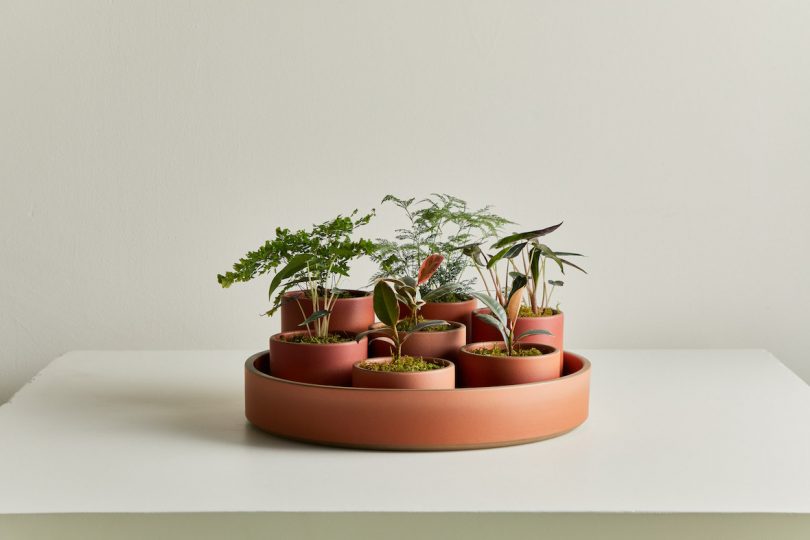 clay planters