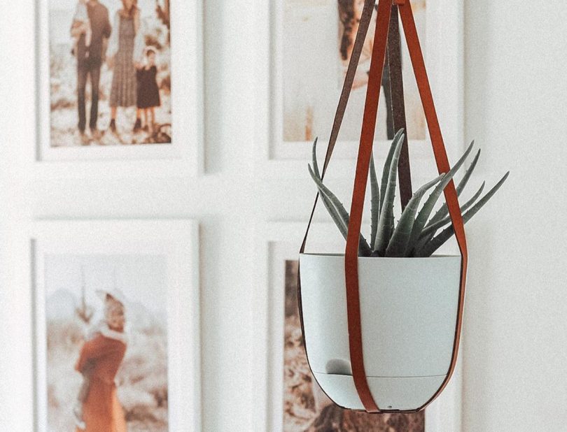 Brown Buckle Up Adjustable Planter by cloudnola