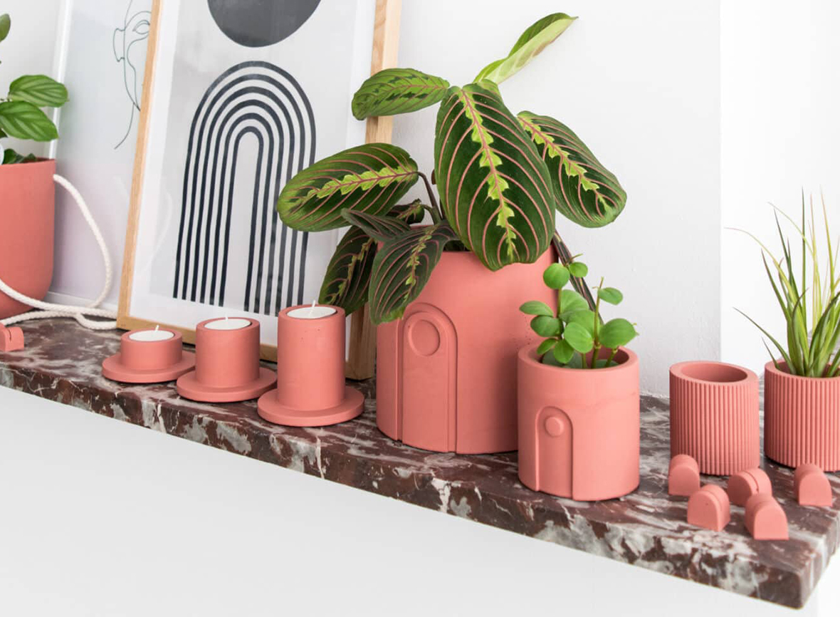 Upgrade Your Houseplants With These 12 Modern Plant Accessories