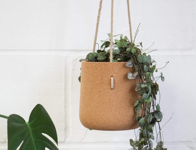 Atlas Hanging Cork Planter by Mind the Cork