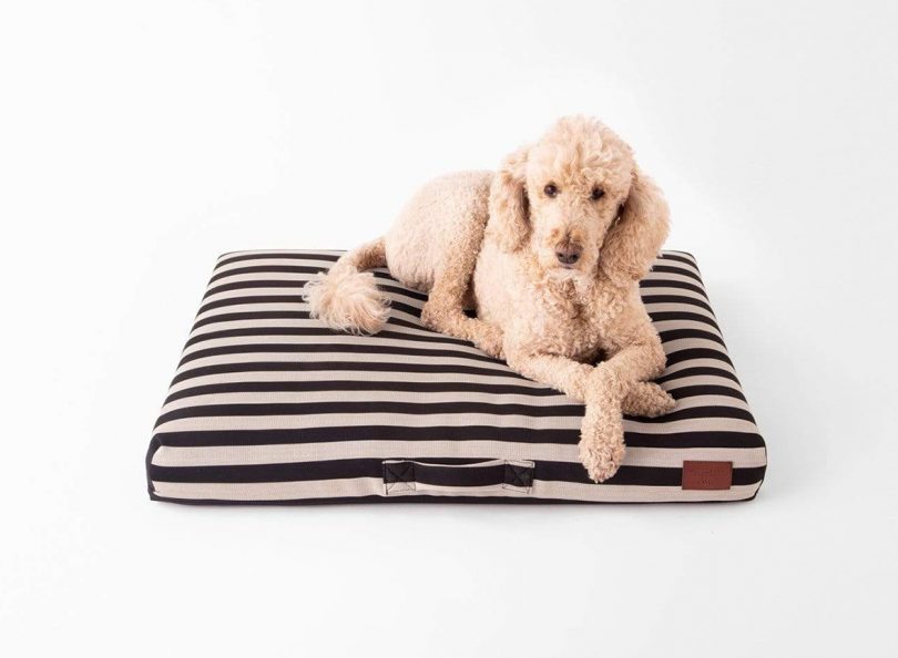 Our Pick: The Ecru Striped Altuzarra Dog Bed Cover