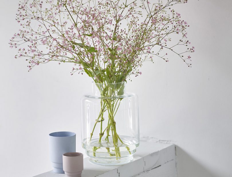 Plants + Floral Stems – Monday Glass Vase by Puik Design 
