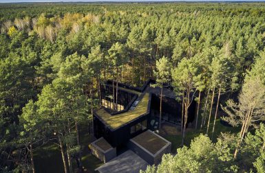 Nature Dictated the Floorplan of This Secluded Home in the Forest