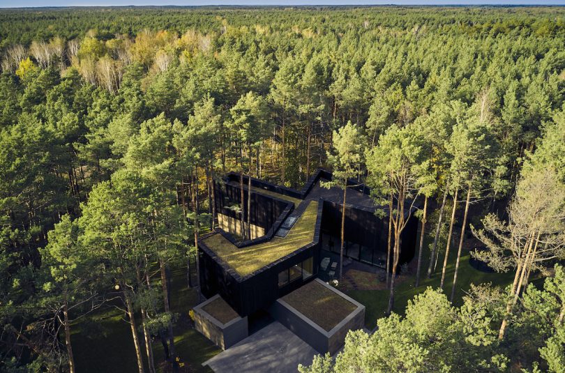 Nature Dictated the Floorplan of This Secluded Home in the Forest