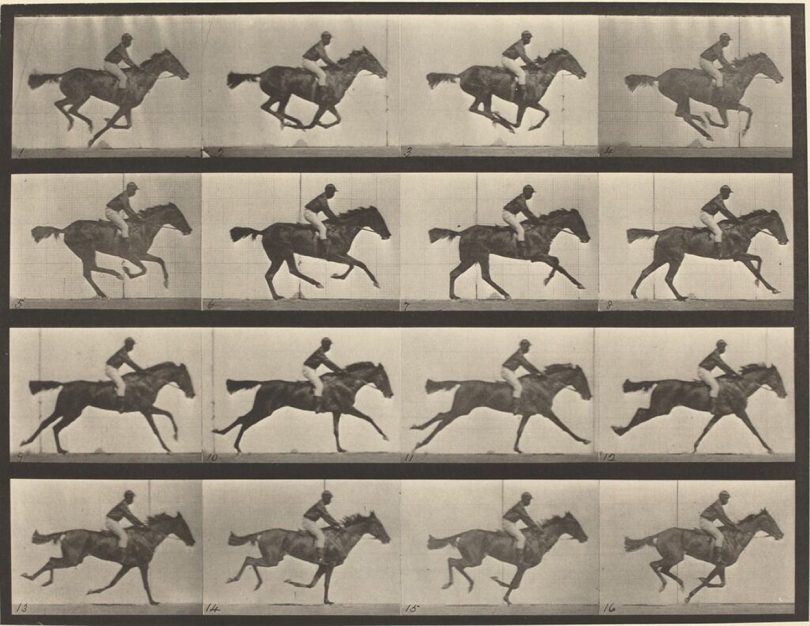 series of black and white cells of a horse and rider