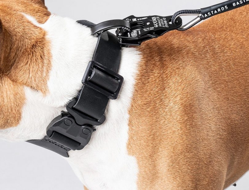 Chicago Bears PINK Polyester Webbing Designer Dog Collar – Custom Design Dog  Collars