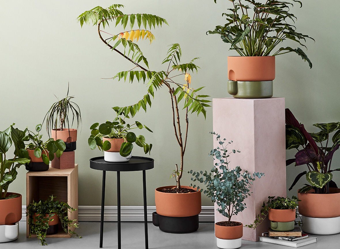 Modern wall decor set, Round plant biophilic design