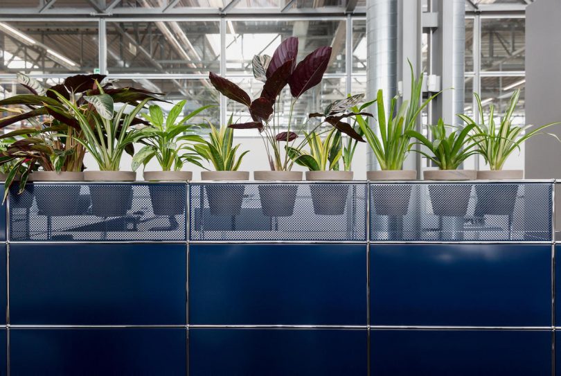 usm haller biophilic أثاث المكاتب