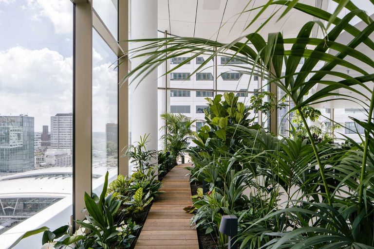Imagine Office Life if They All Came With Lush Green Gardens Inside