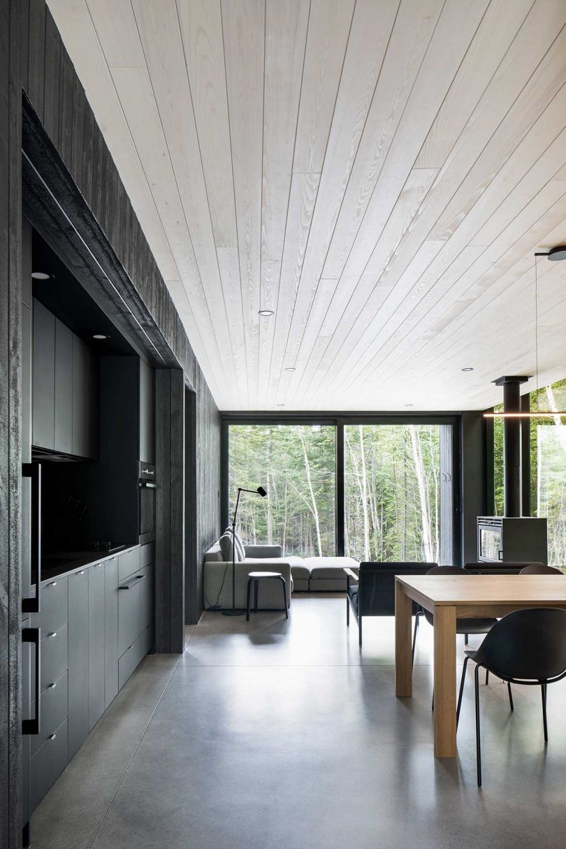 A Compact, Modern Cabin in the Woods That Reflects the Trees