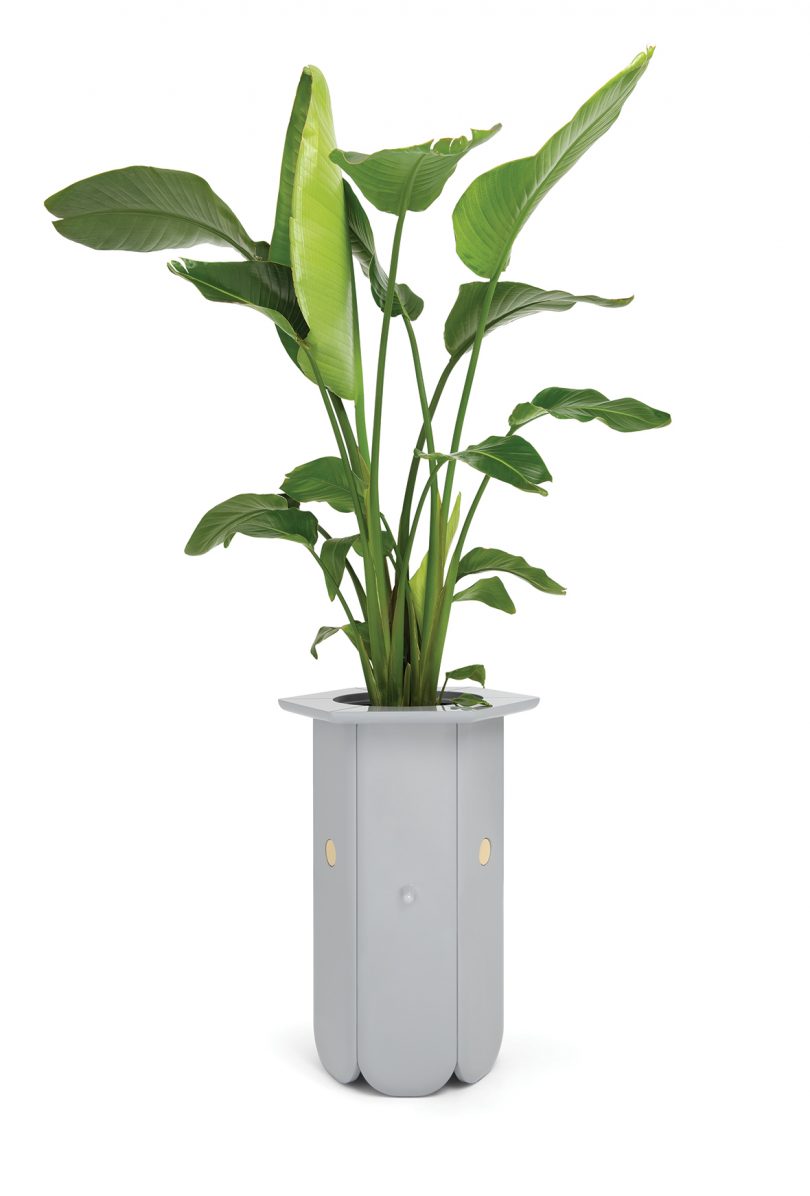 tall light grey vase with green plant on white background