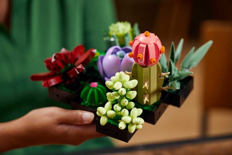 LEGO Adds Succulents and Orchid to Its Flowery Collection - Nerdist