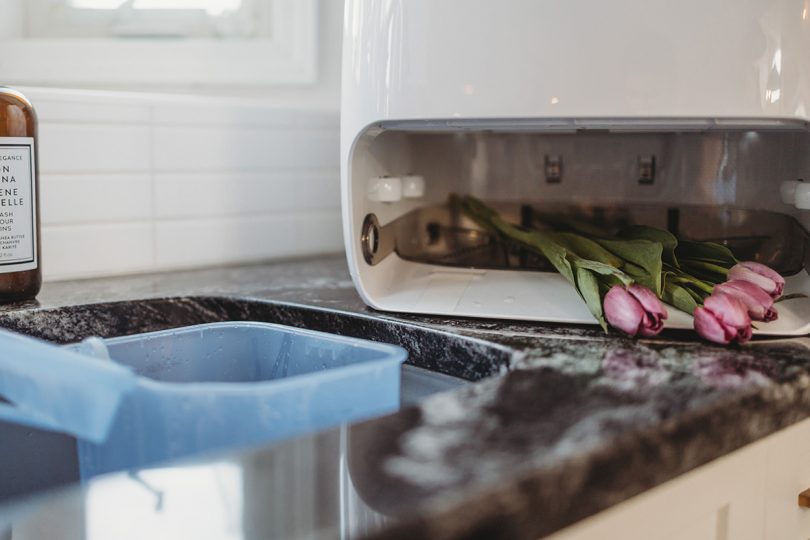 Narwal container in kitchen sink with four dark pink tulips placed in opening of base station. 