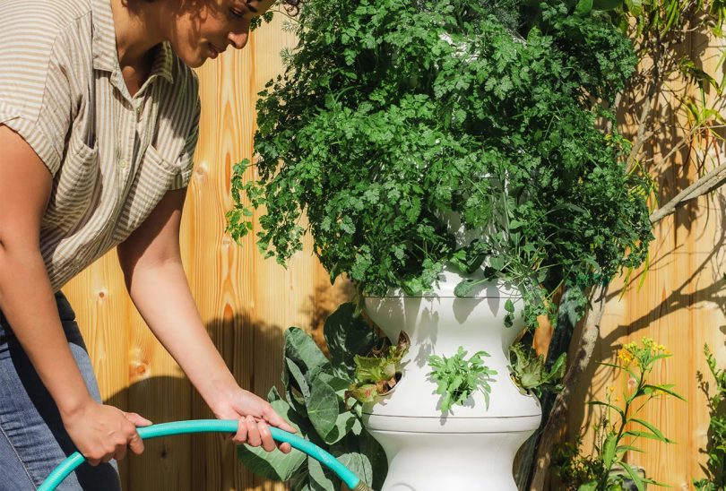 Enter Your Gardening Era With These Garden Tools + Accessories