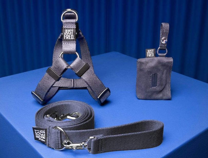 just fred harness set 
