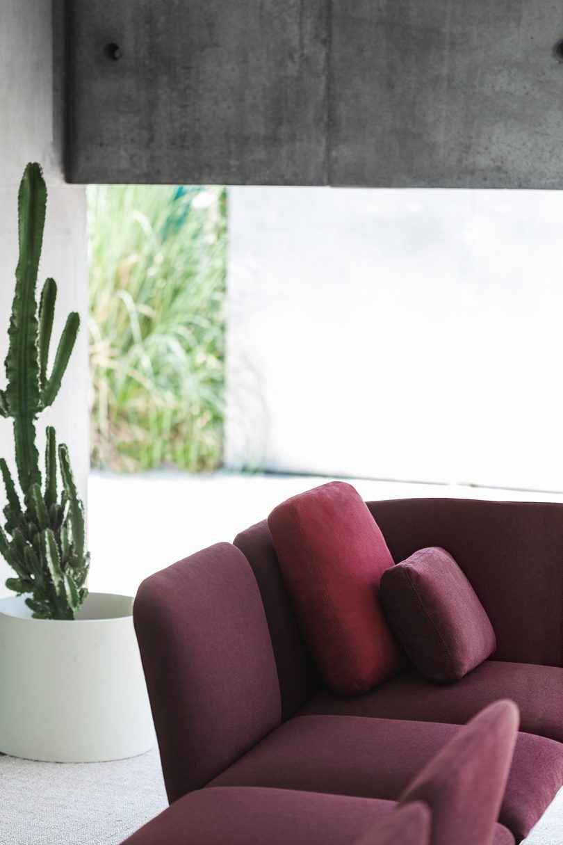 maroon outdoor sofa with cactus