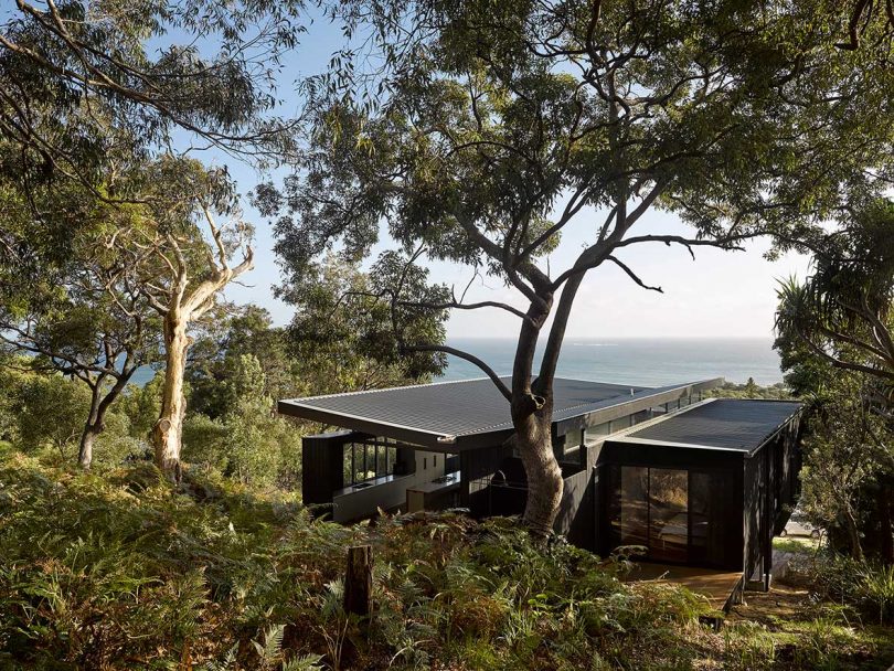 An Island Vacation Home Inspired by Camping Under a Tarp