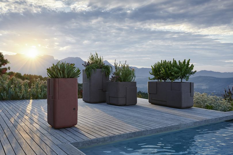 four large outdoor planters on wood deck