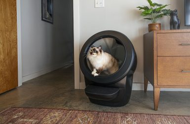 Keep Your Home Fresh + Your To-Do List Short With the Litter-Robot 4
