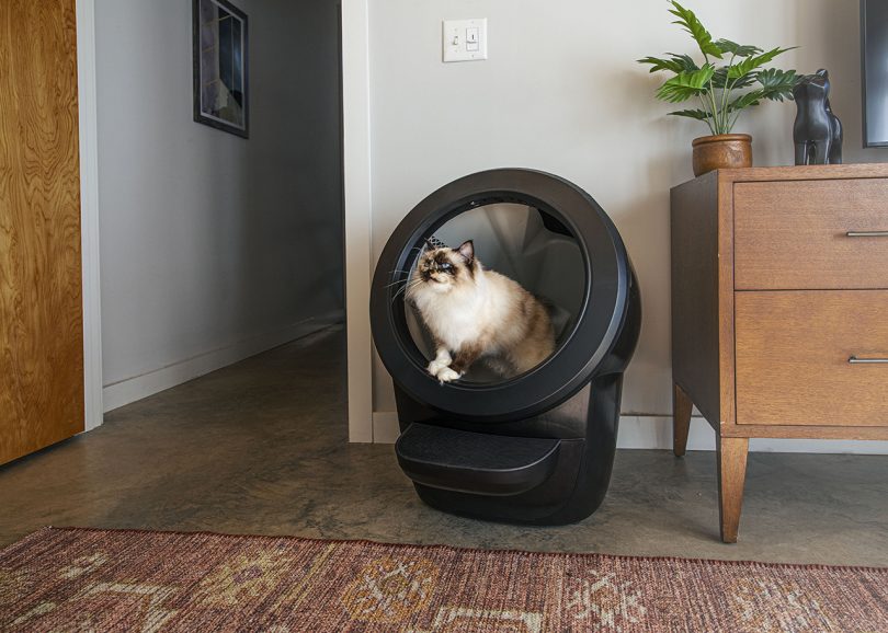 Keep Your Home Fresh + Your To-Do List Short With the Litter-Robot 4