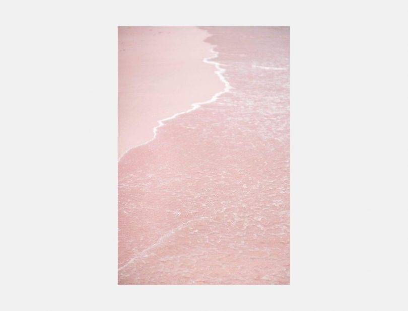 pink sands print
