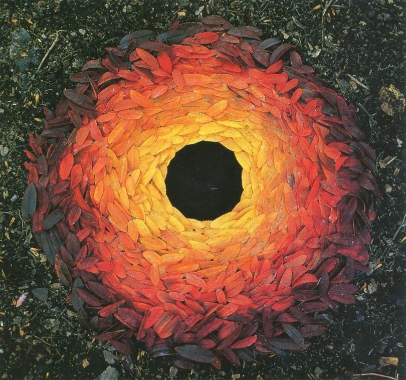 a circle of vibrantly colored leaves