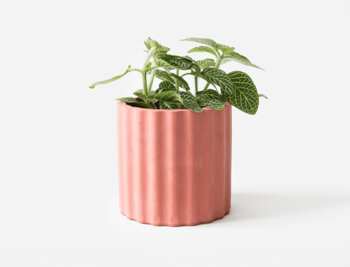 summer sorbet house raccoon planter