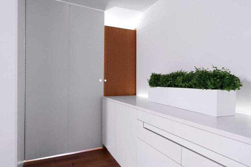 angled interior view of small apartment with white cabinets and potted greenery