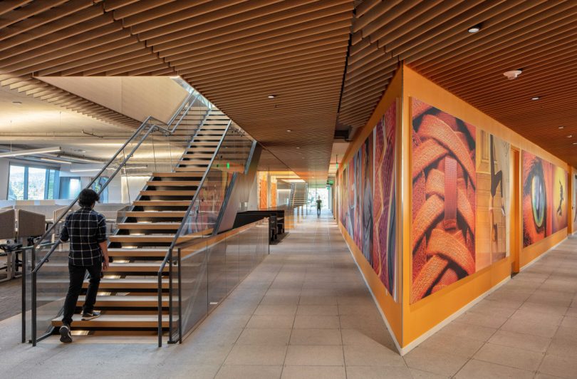 فضای داخلی اداری مدرن در دفتر مرکزی نایک با راه پله باز و دیوارهای نارنجی و هنر
