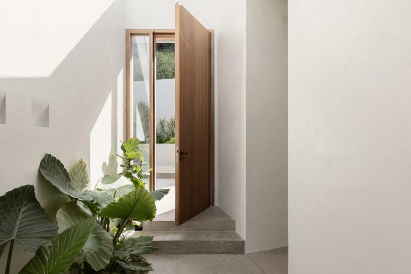 interior view looking to front door with plants on the floor