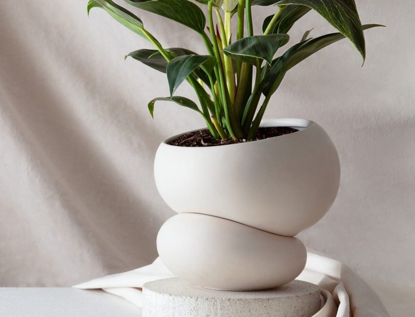 fondra planter