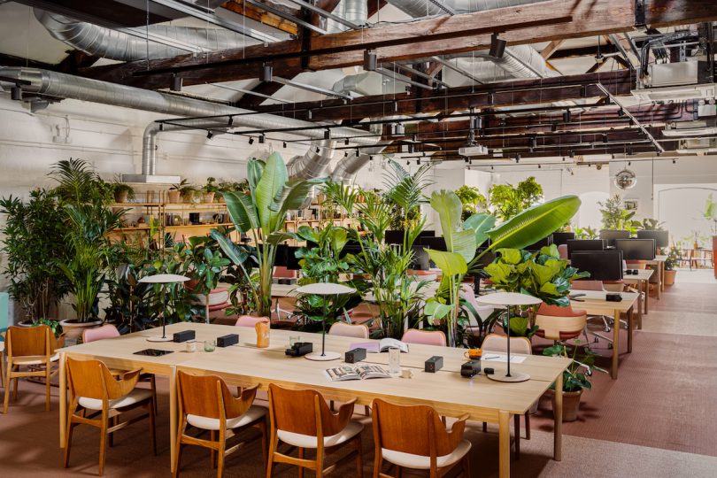 coworking space with plants