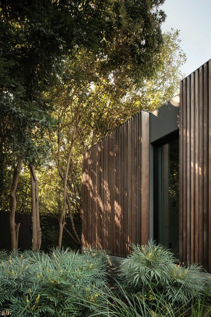 Exterior side view of a modern wood paneled pavilion surrounded by trees
