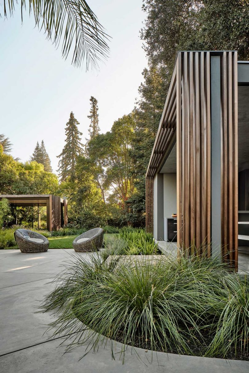 side view of two modern pavilions connected via path with outdoor seating