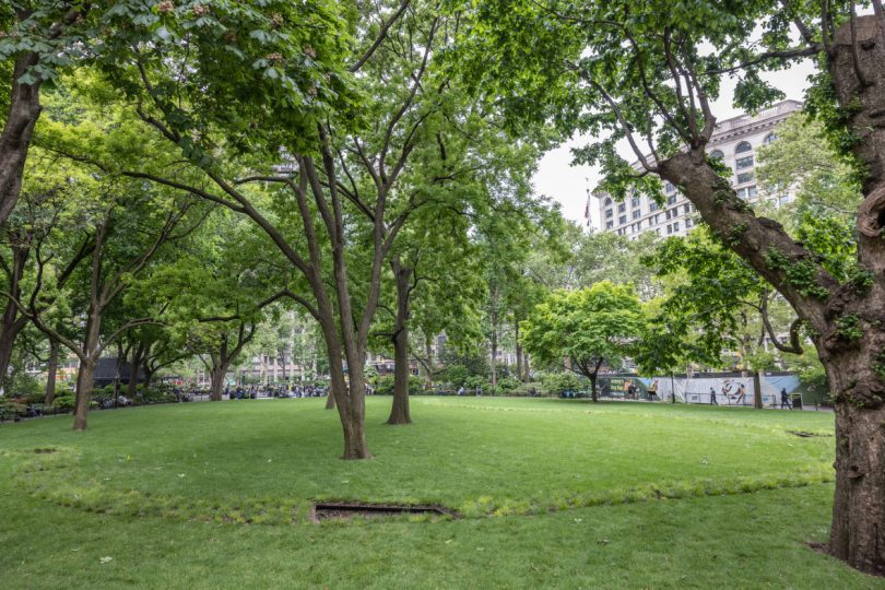 Full lawn of Madison Square Park featuring Landscape and Memory