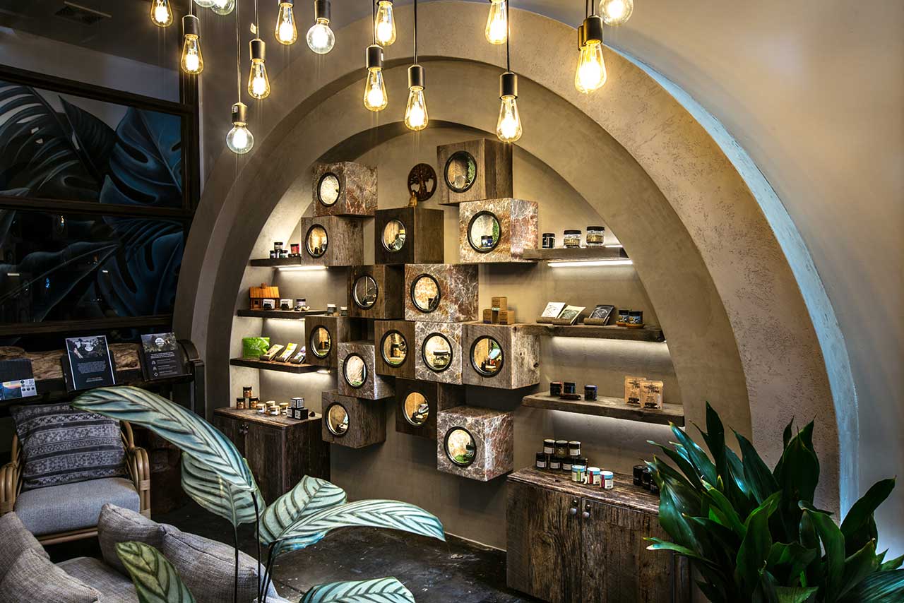 The Woods WeHo Opens an Eco-Zen, Buzz-Worthy Dispensary Backed by Woody Harrelson