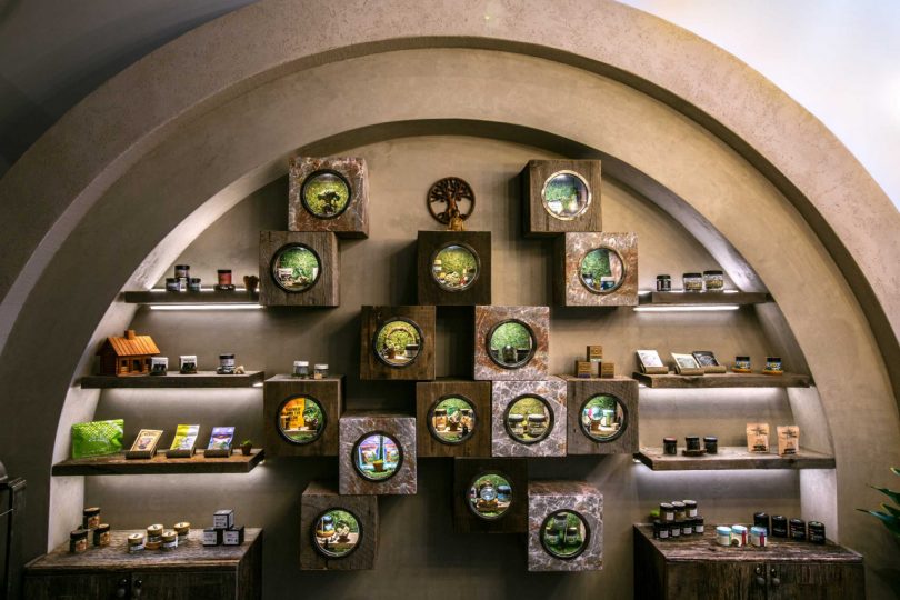 interior shot of cannabis store with wood accents and greenery with closeup of arched shelf with products