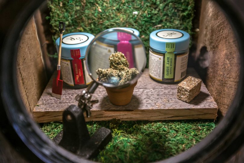 closeup of cannabis products in box looking through glass