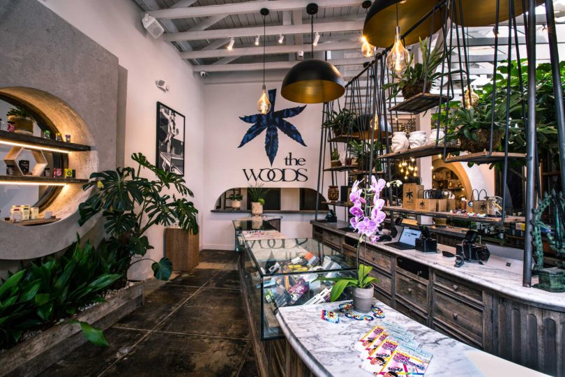 interior shot of cannabis store with wood accents and greenery