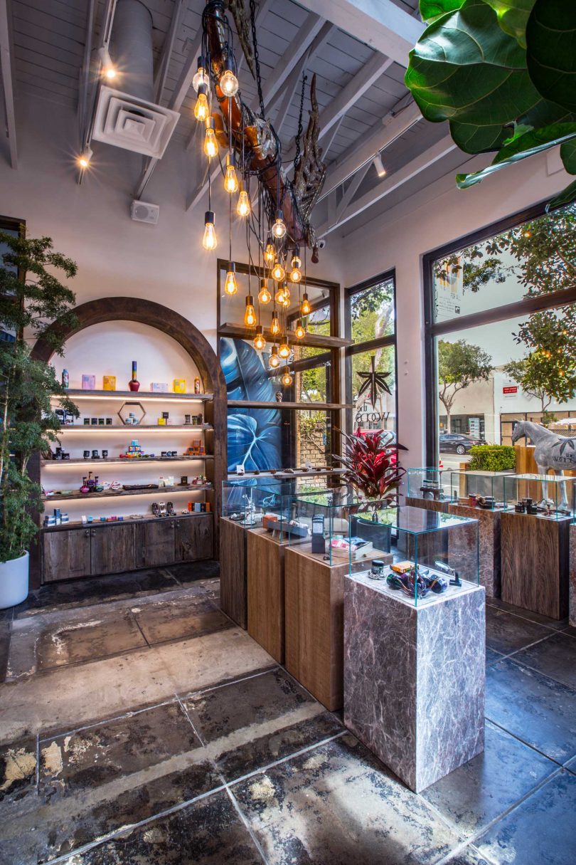 interior shot of cannabis store with wood accents and greenery with shelves of product