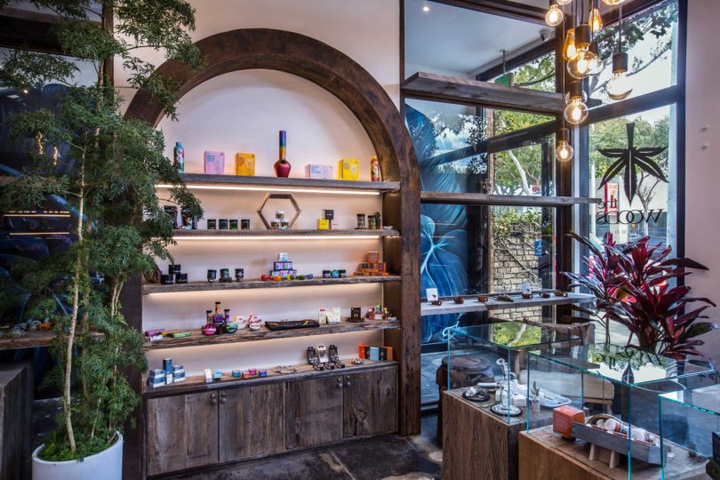 interior shot of cannabis store with wood accents and greenery with shelves of product