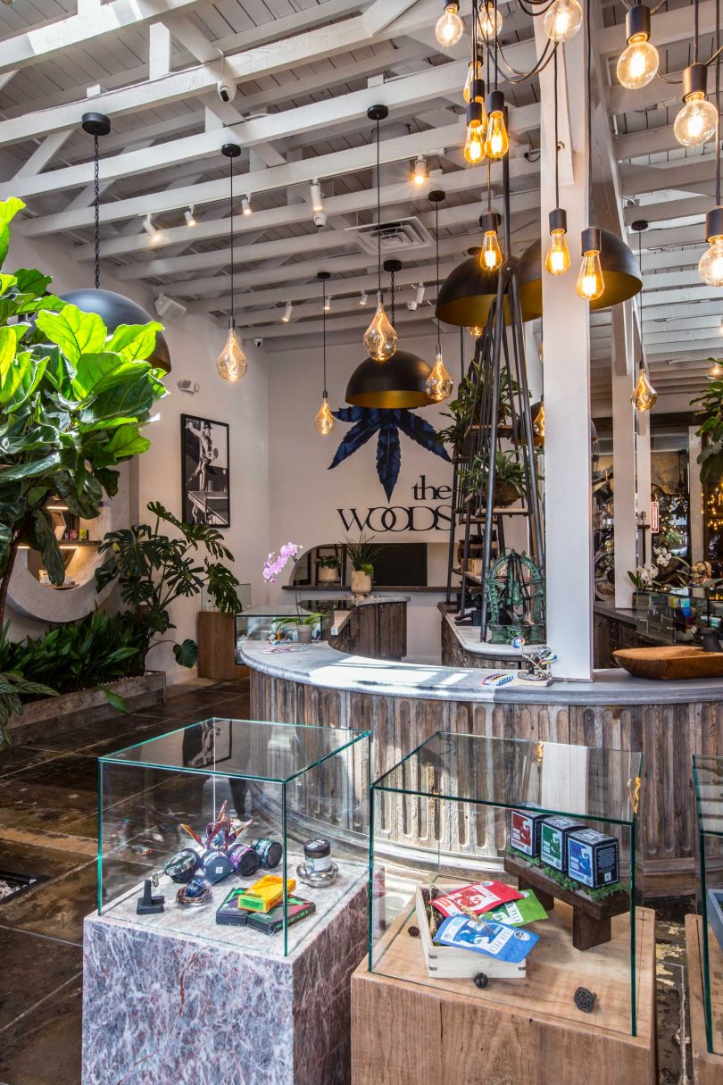 interior shot of cannabis store with wood accents and greenery